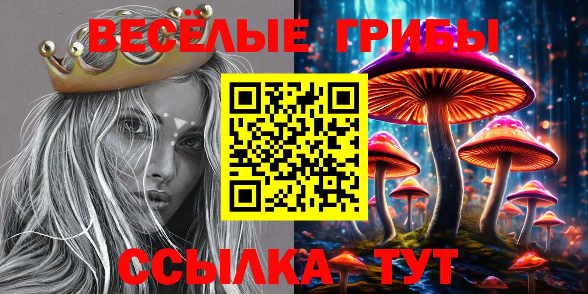 Псилоцибиновые грибы Cubensis Рубцовск